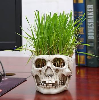 骸骨デザインの3Dプリント植木鉢 骸骨デザインの3Dプリント植木鉢